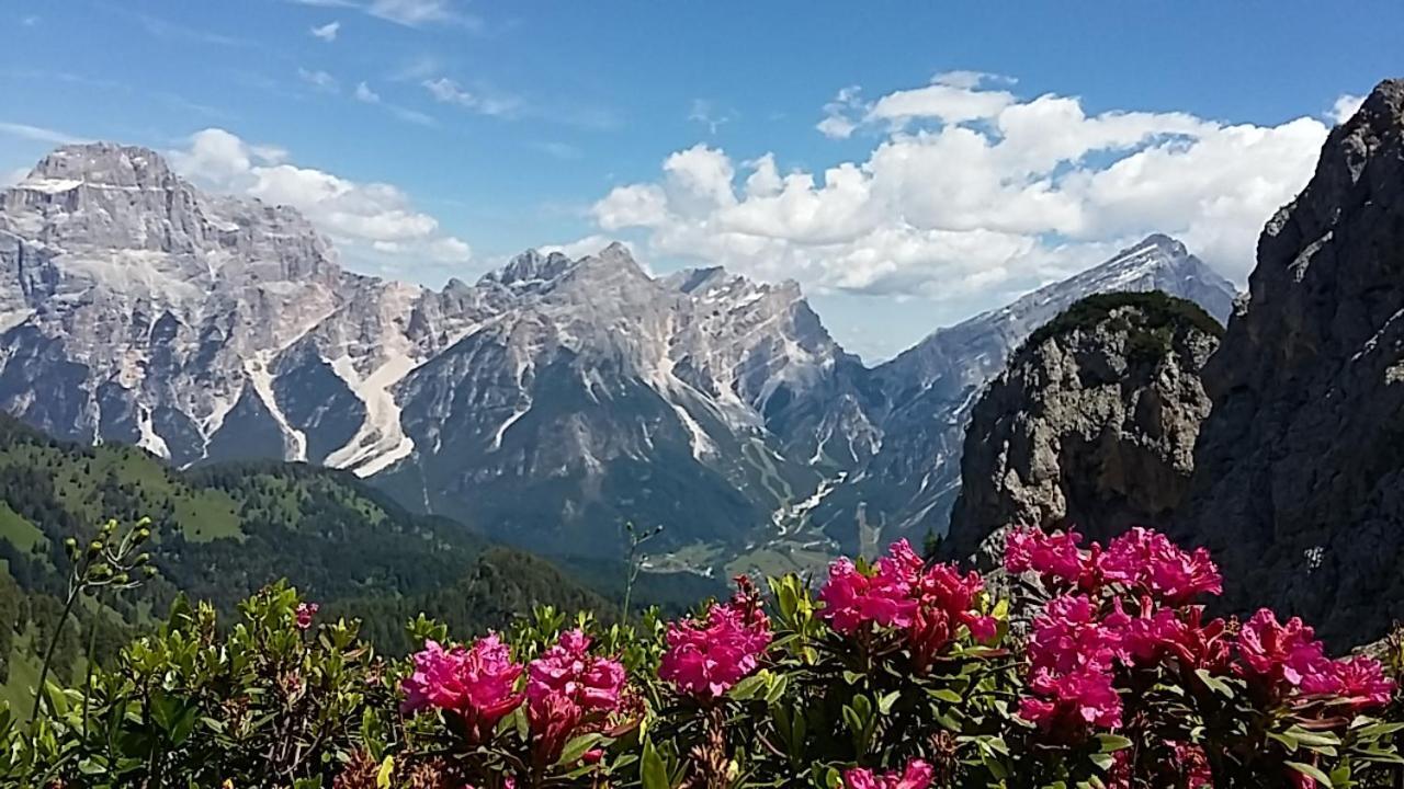 Appartamenti Da Nica E Diego Borca di Cadore Zewnętrze zdjęcie